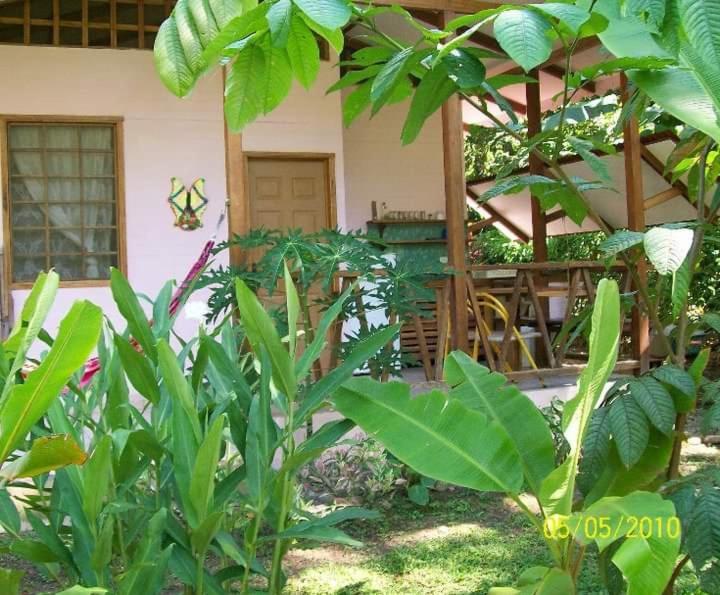 Luna Caribena Village Puerto Viejo de Talamanca Екстер'єр фото