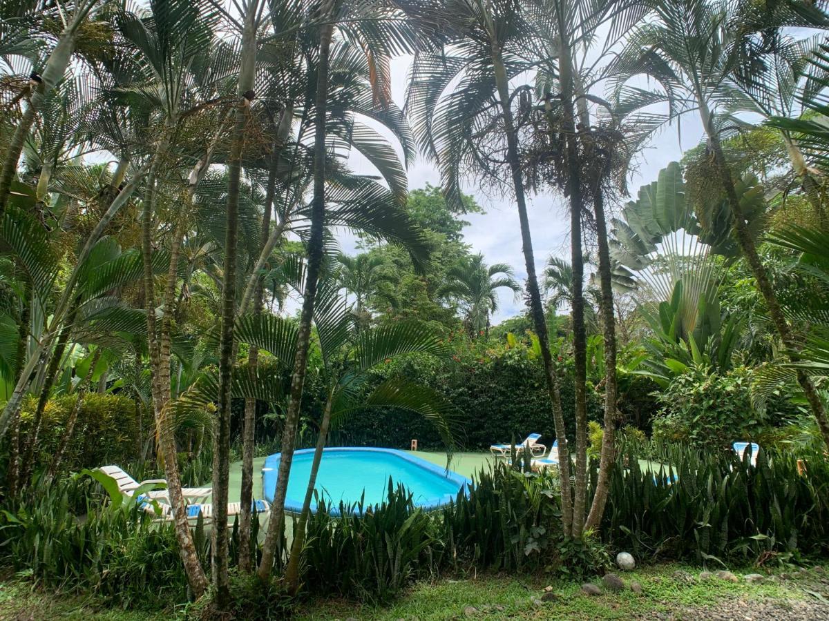 Luna Caribena Village Puerto Viejo de Talamanca Екстер'єр фото