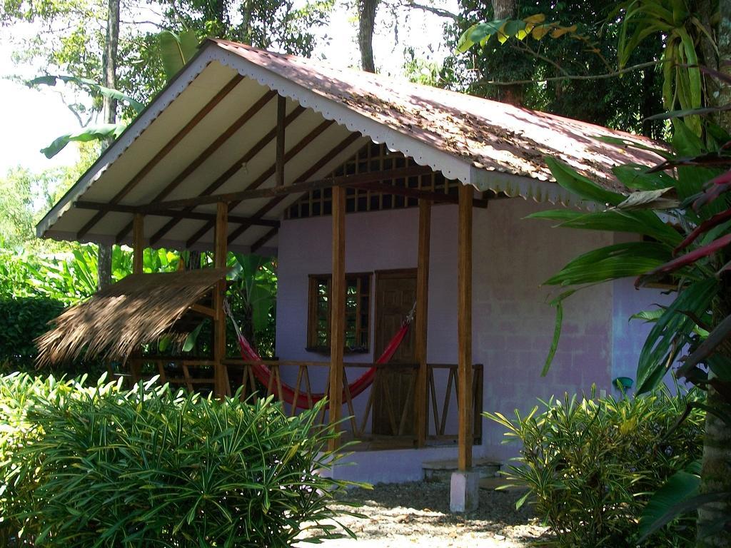 Luna Caribena Village Puerto Viejo de Talamanca Екстер'єр фото