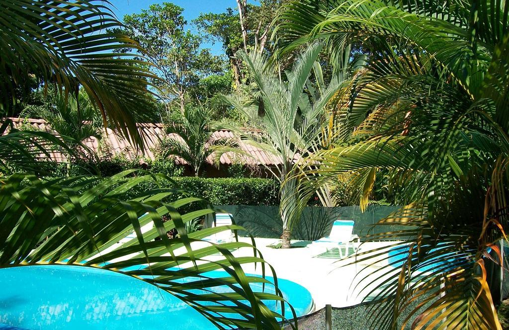 Luna Caribena Village Puerto Viejo de Talamanca Екстер'єр фото