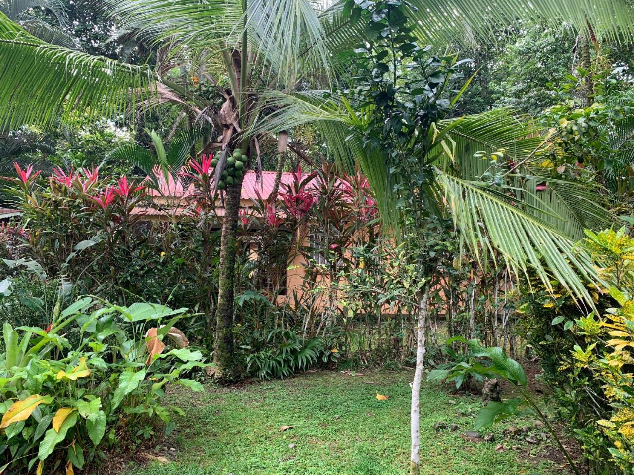 Luna Caribena Village Puerto Viejo de Talamanca Екстер'єр фото