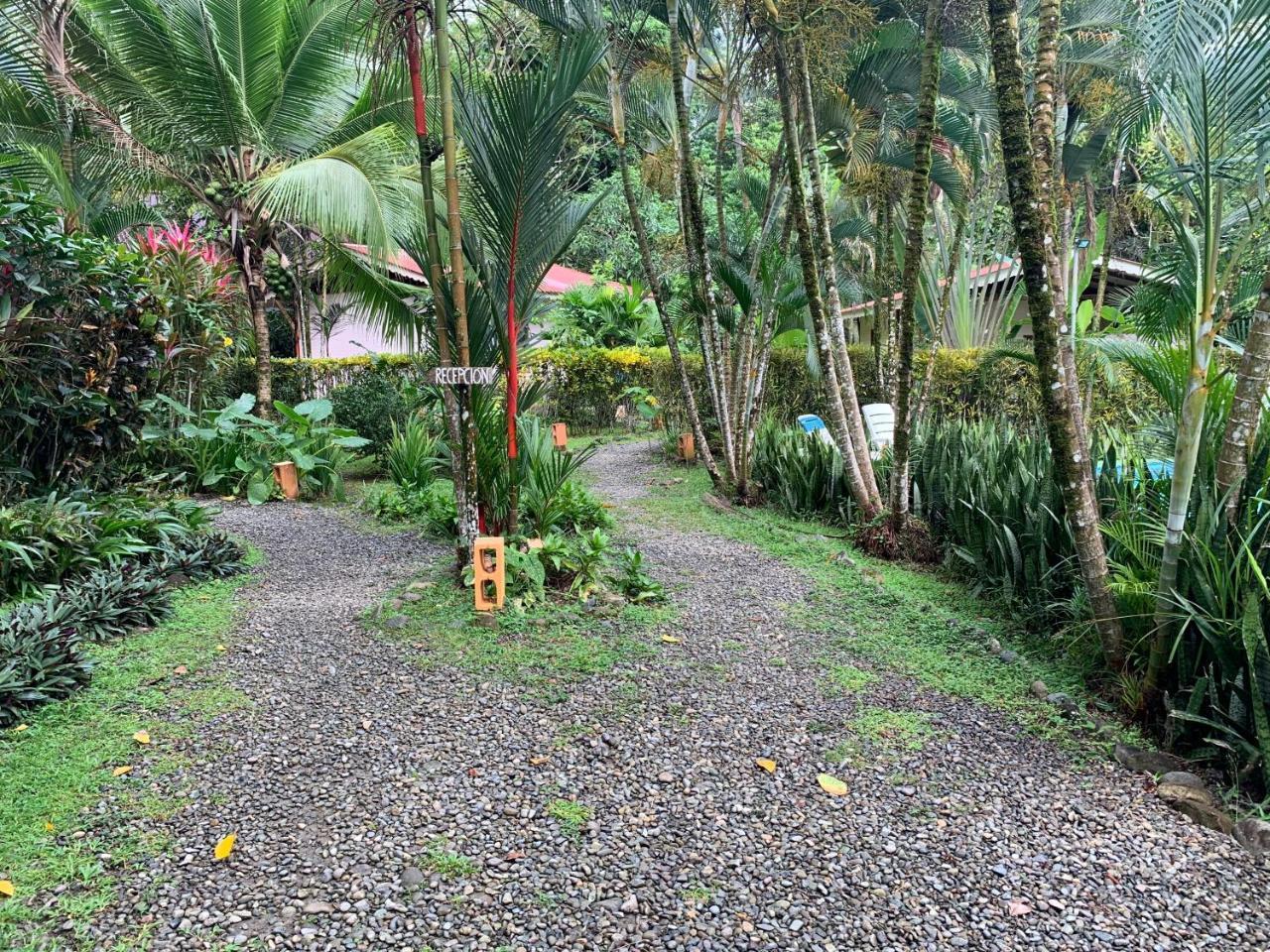 Luna Caribena Village Puerto Viejo de Talamanca Екстер'єр фото