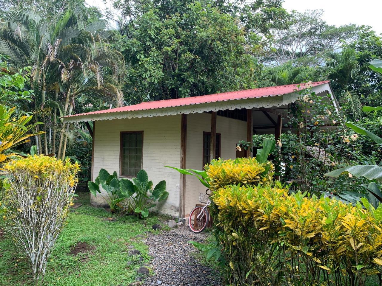 Luna Caribena Village Puerto Viejo de Talamanca Екстер'єр фото