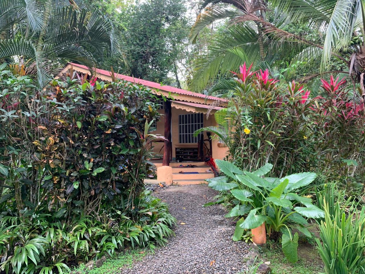 Luna Caribena Village Puerto Viejo de Talamanca Екстер'єр фото