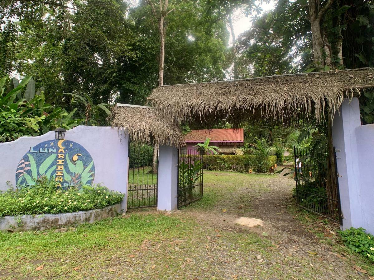 Luna Caribena Village Puerto Viejo de Talamanca Екстер'єр фото
