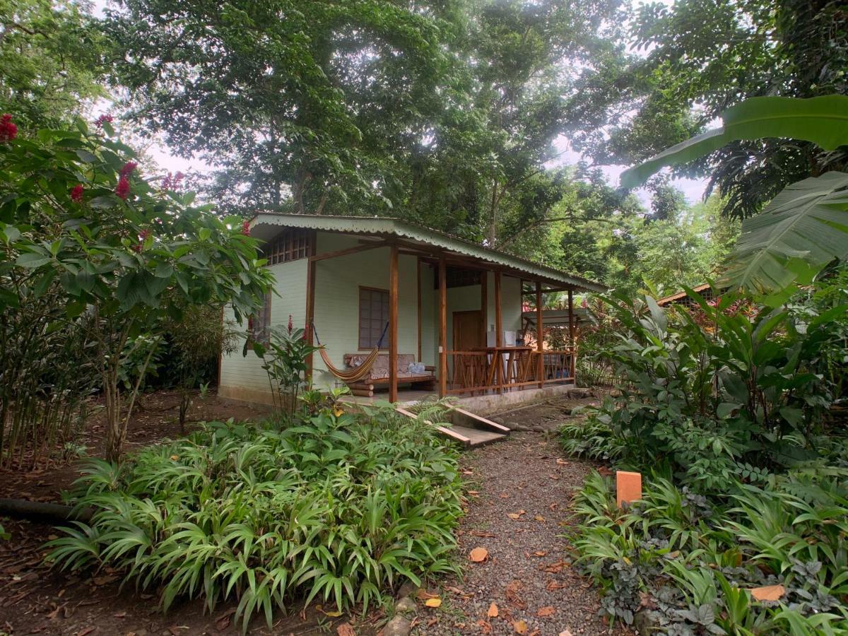 Luna Caribena Village Puerto Viejo de Talamanca Екстер'єр фото
